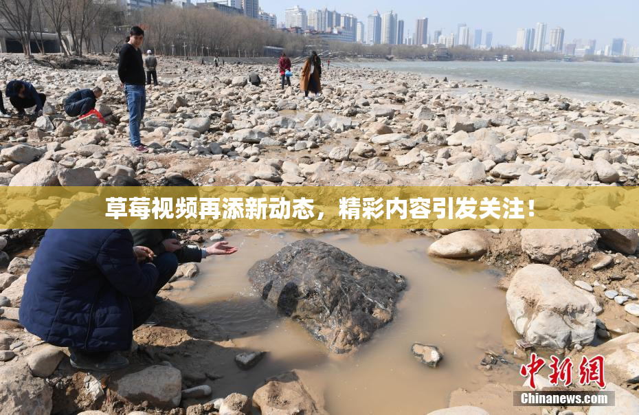 草莓视频再添新动态，精彩内容引发关注！