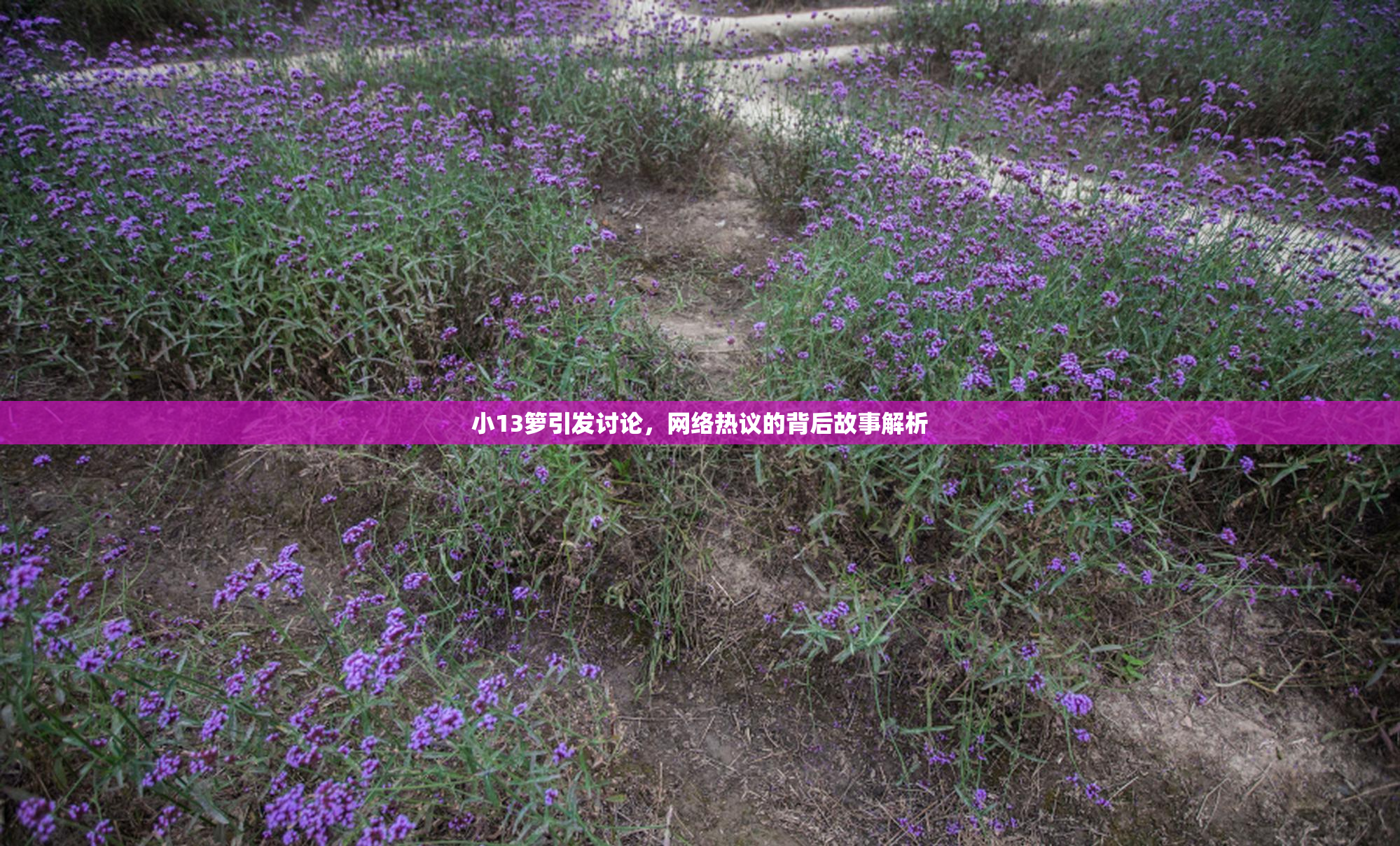 小13箩引发讨论，网络热议的背后故事解析