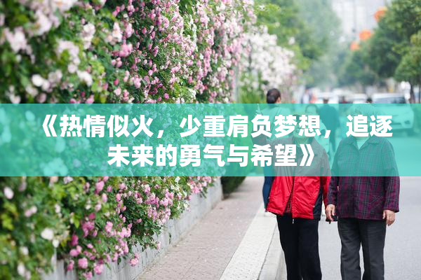 《热情似火，少重肩负梦想，追逐未来的勇气与希望》