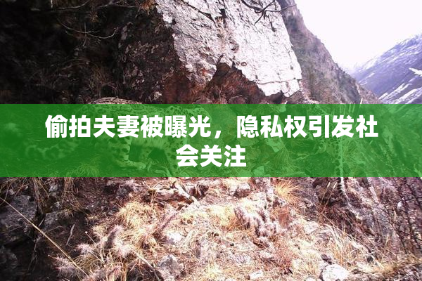 偷拍夫妻被曝光，隐私权引发社会关注