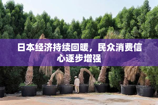 日本经济持续回暖，民众消费信心逐步增强