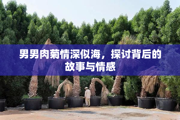 男男肉菊情深似海，探讨背后的故事与情感