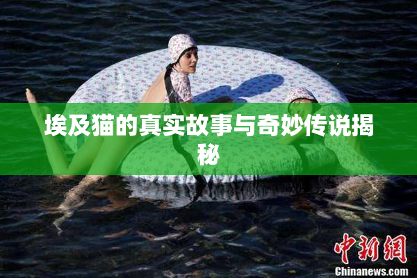 埃及猫的真实故事与奇妙传说揭秘