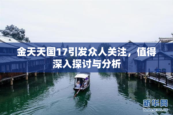 金天天国17引发众人关注，值得深入探讨与分析