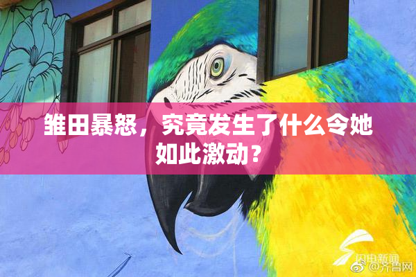 雏田暴怒，究竟发生了什么令她如此激动？