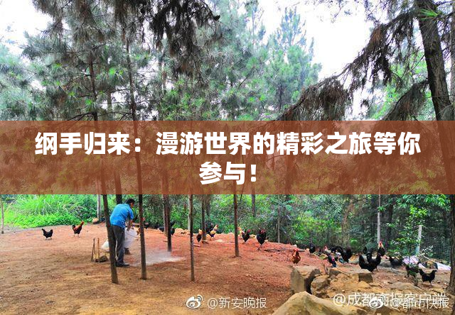 纲手归来：漫游世界的精彩之旅等你参与！