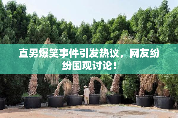 直男爆笑事件引发热议，网友纷纷围观讨论！