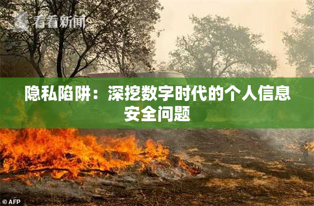 隐私陷阱：深挖数字时代的个人信息安全问题
