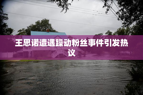 王思诺遭遇躁动粉丝事件引发热议
