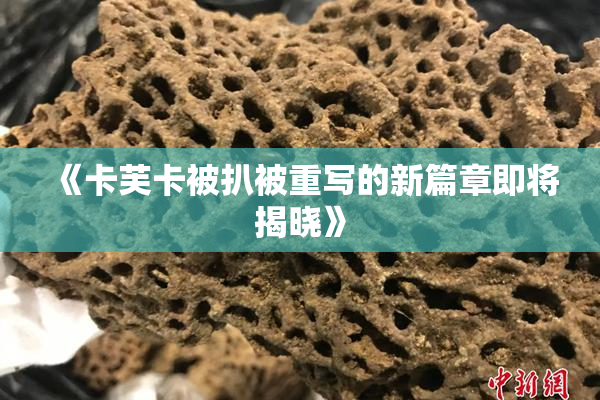 《卡芙卡被扒被重写的新篇章即将揭晓》