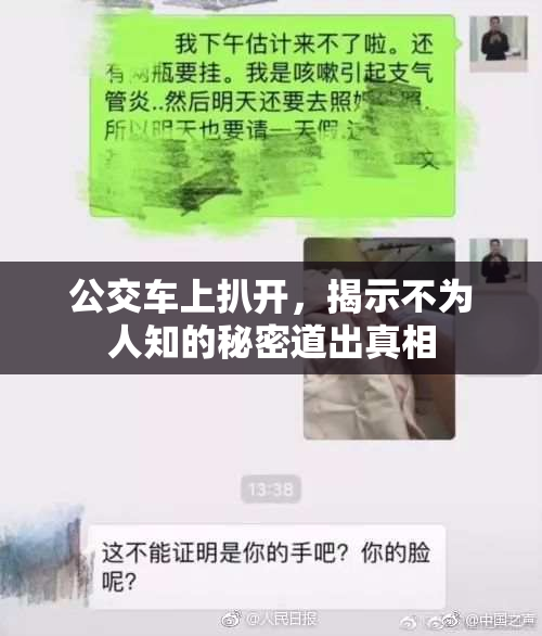 公交车上扒开，揭示不为人知的秘密道出真相