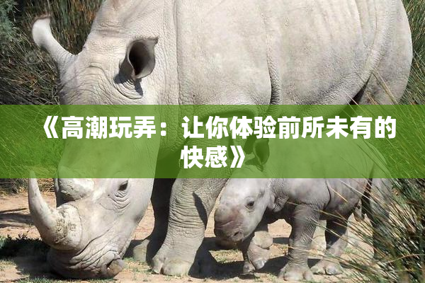 《高潮玩弄：让你体验前所未有的快感》