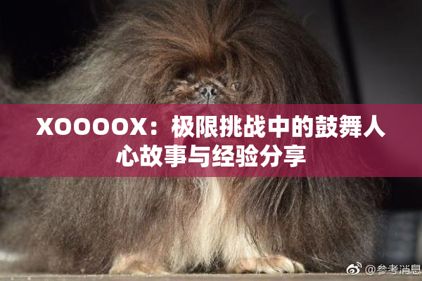 XOOOOX：极限挑战中的鼓舞人心故事与经验分享