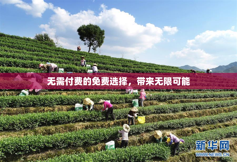 无需付费的免费选择，带来无限可能