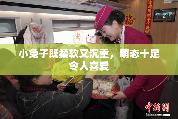 小兔子既柔软又沉重，萌态十足令人喜爱