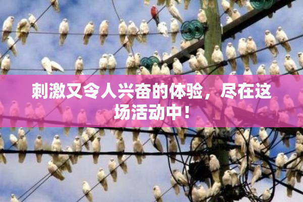 刺激又令人兴奋的体验，尽在这场活动中！