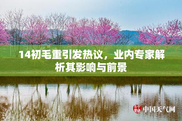 14初毛重引发热议，业内专家解析其影响与前景