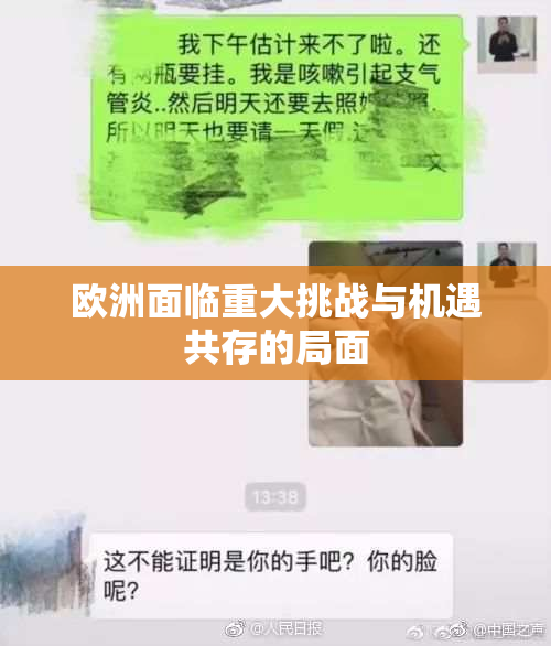 欧洲面临重大挑战与机遇共存的局面