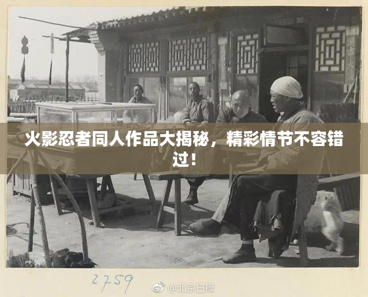 火影忍者同人作品大揭秘，精彩情节不容错过！