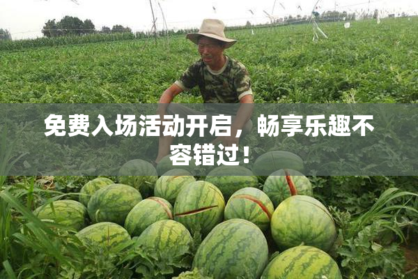 免费入场活动开启，畅享乐趣不容错过！