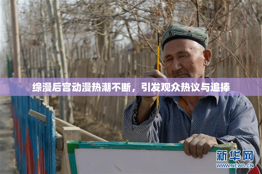 综漫后宫动漫热潮不断，引发观众热议与追捧