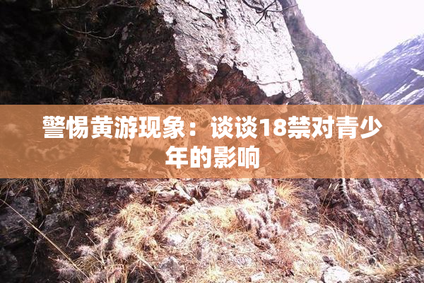 警惕黄游现象：谈谈18禁对青少年的影响