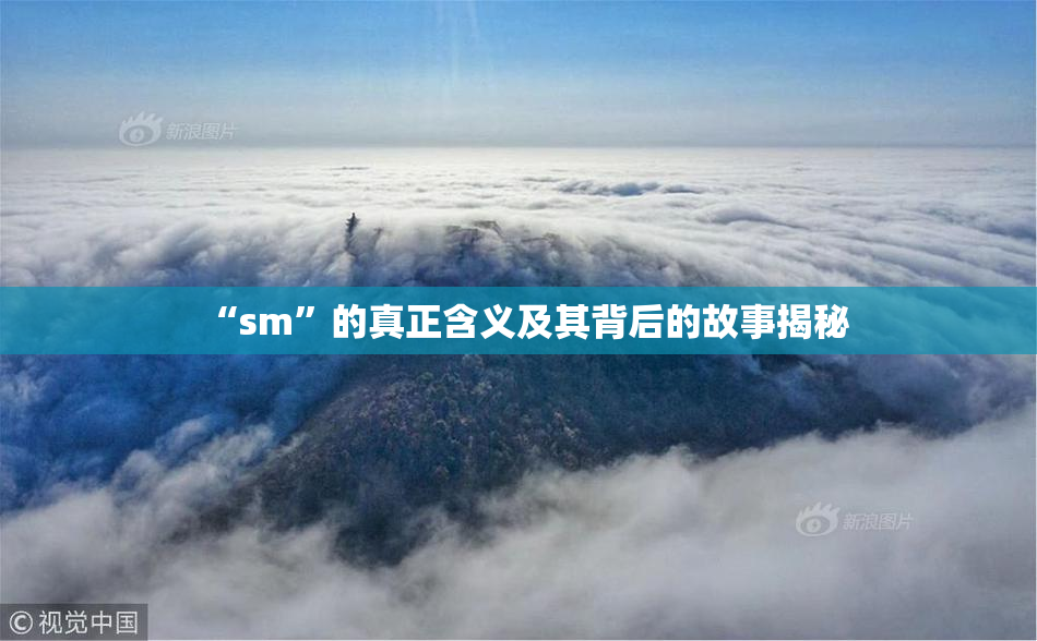 “sm”的真正含义及其背后的故事揭秘