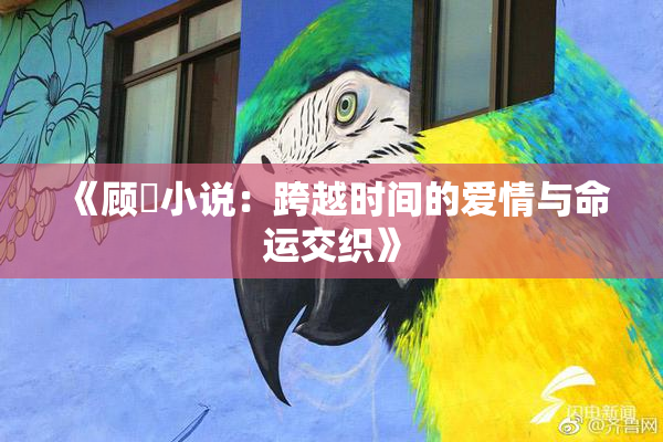 《顾嫚小说：跨越时间的爱情与命运交织》