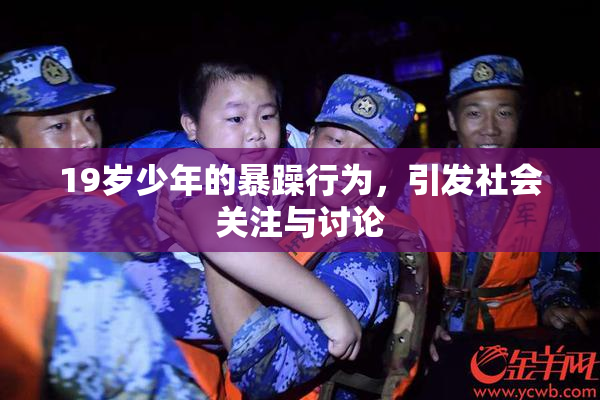 19岁少年的暴躁行为，引发社会关注与讨论