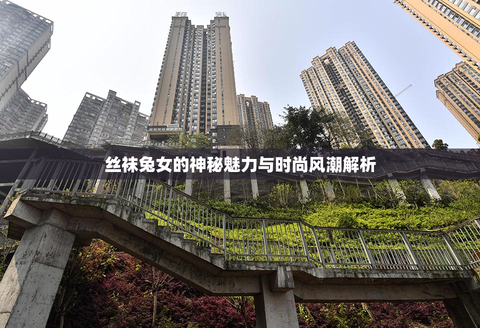 丝袜兔女的神秘魅力与时尚风潮解析