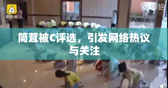 简茸被C评选，引发网络热议与关注
