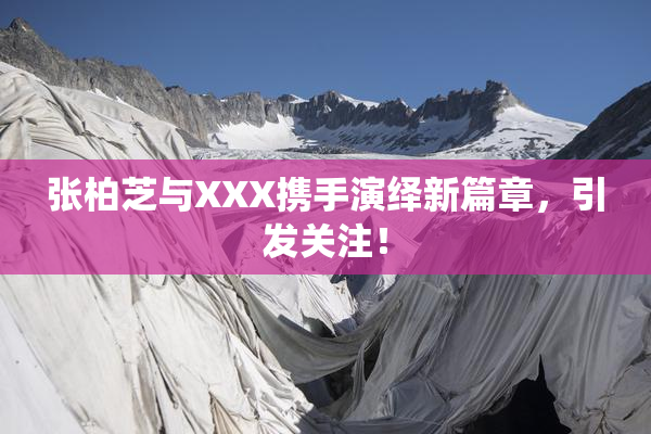 张柏芝与XXX携手演绎新篇章，引发关注！