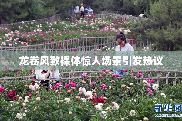 龙卷风致裸体惊人场景引发热议
