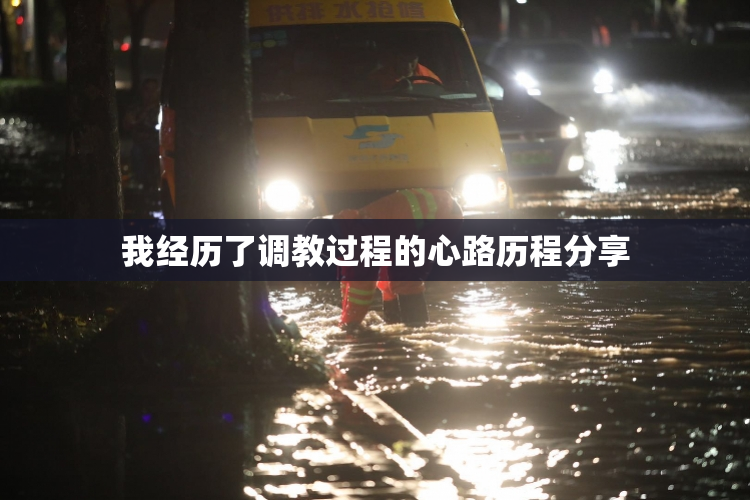 我经历了调教过程的心路历程分享