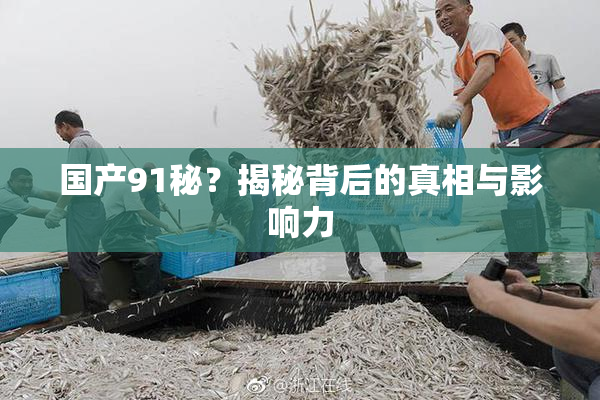 国产91秘？揭秘背后的真相与影响力