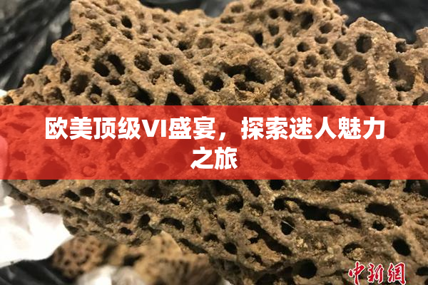 欧美顶级VI盛宴，探索迷人魅力之旅