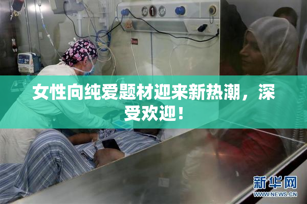 女性向纯爱题材迎来新热潮，深受欢迎！