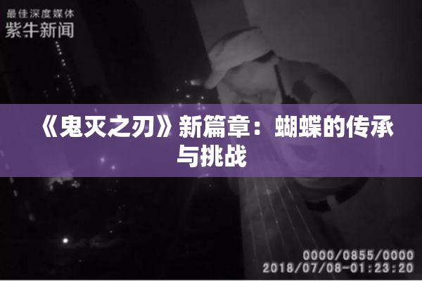 《鬼灭之刃》新篇章：蝴蝶的传承与挑战