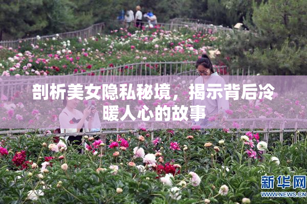 剖析美女隐私秘境，揭示背后冷暖人心的故事
