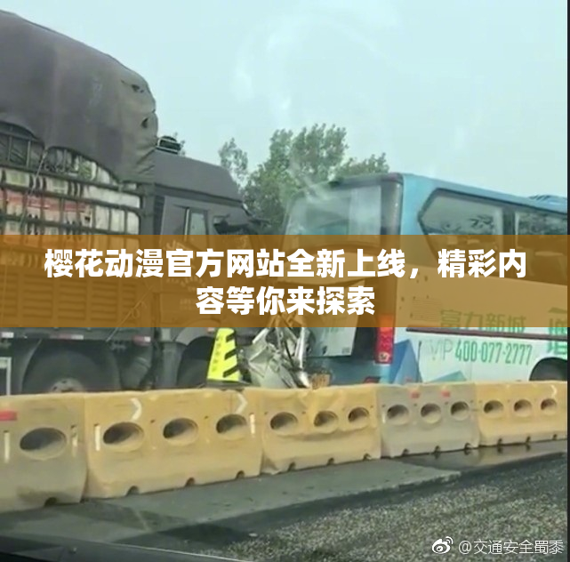 樱花动漫官方网站全新上线，精彩内容等你来探索