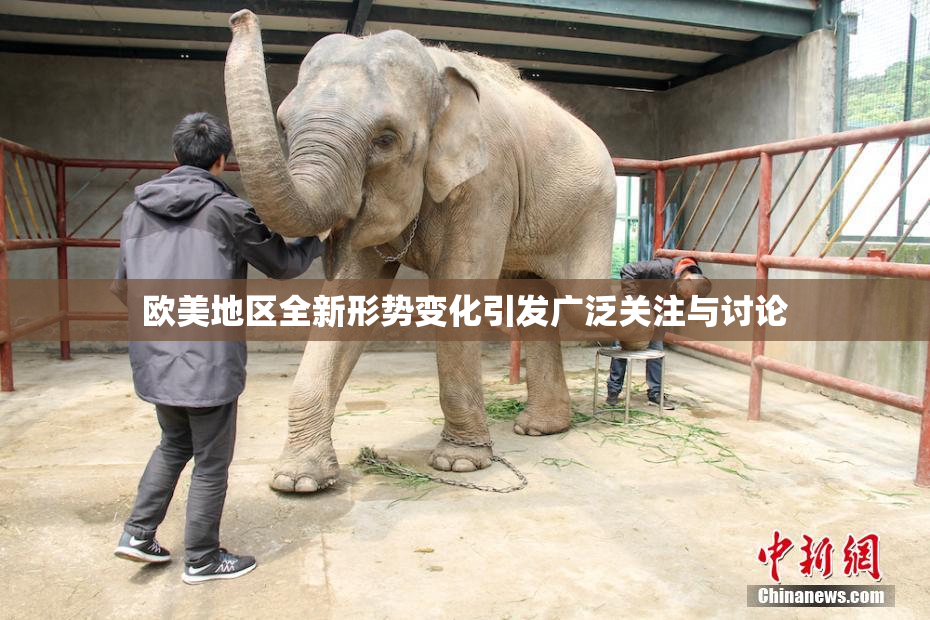 欧美地区全新形势变化引发广泛关注与讨论