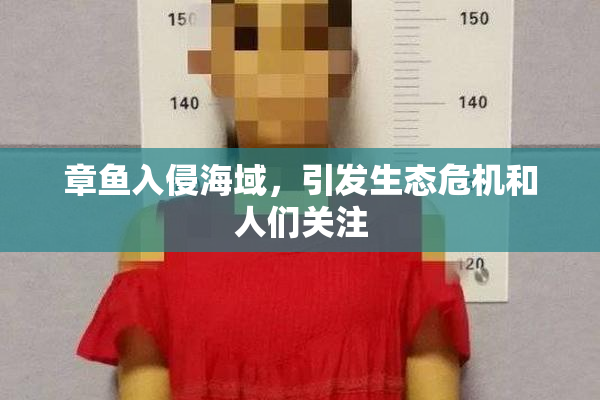 章鱼入侵海域，引发生态危机和人们关注