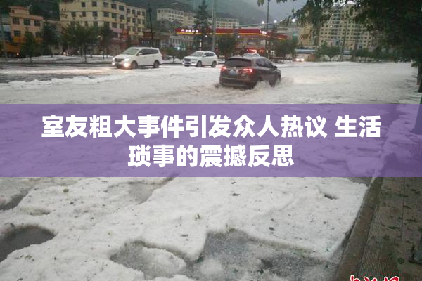 室友粗大事件引发众人热议 生活琐事的震撼反思
