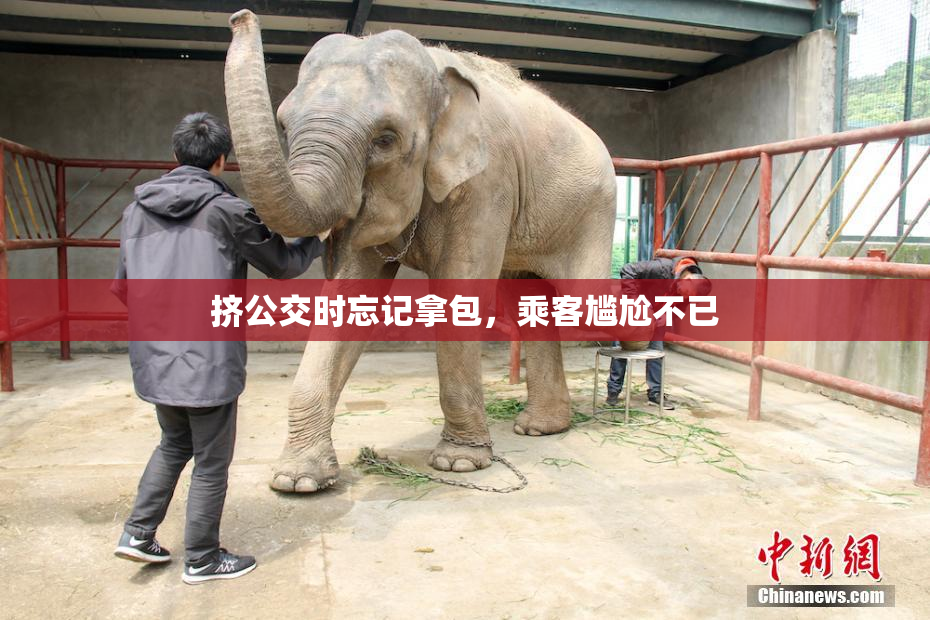 挤公交时忘记拿包，乘客尴尬不已