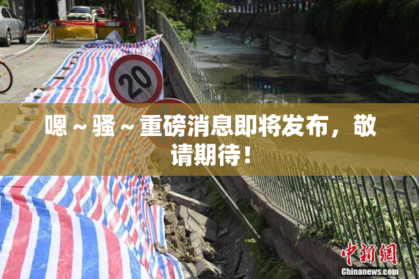 嗯～骚～重磅消息即将发布，敬请期待！