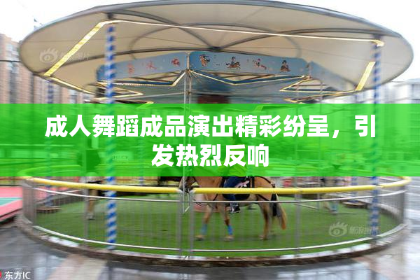 成人舞蹈成品演出精彩纷呈，引发热烈反响