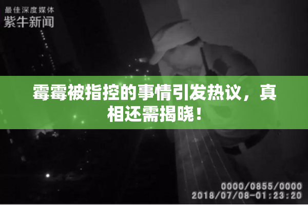 霉霉被指控的事情引发热议，真相还需揭晓！