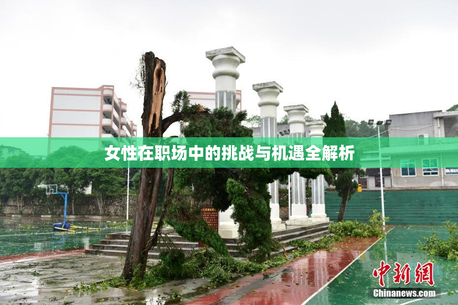 女性在职场中的挑战与机遇全解析