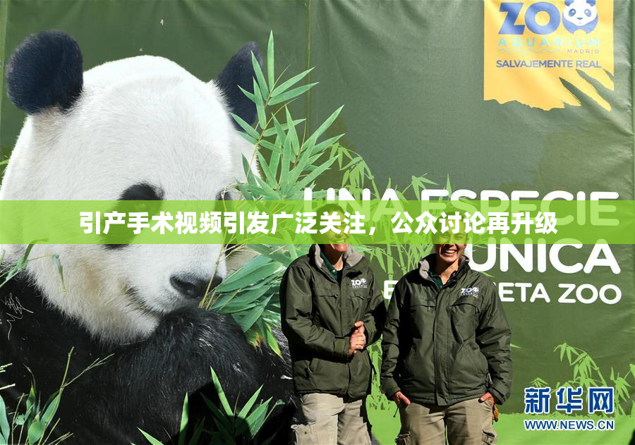 引产手术视频引发广泛关注，公众讨论再升级