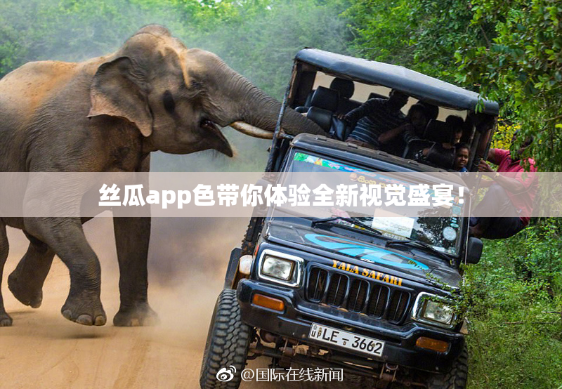 丝瓜app色带你体验全新视觉盛宴！